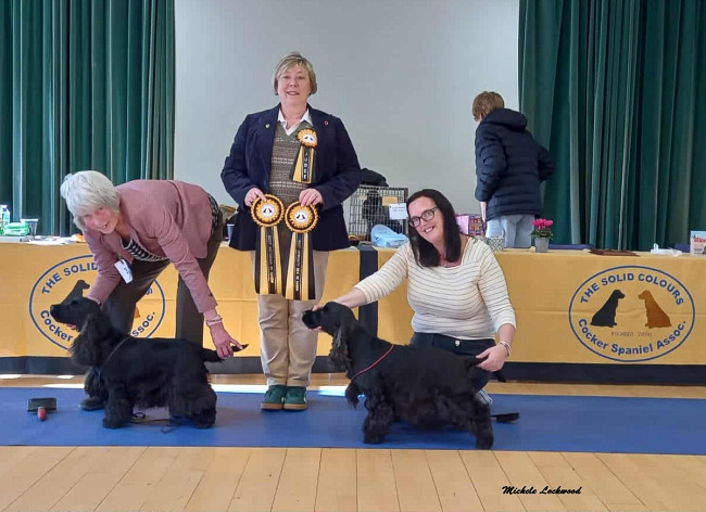 BVIS BOS October 2025