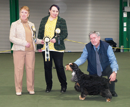 BVIS Champ Show 2019