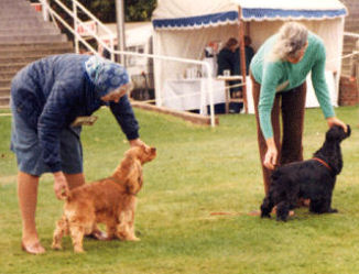 Kay with Broomleaf Buttercrisp