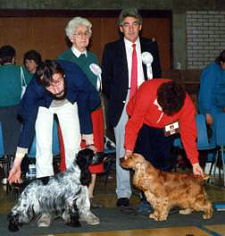 Miss Macmillan judging 1988