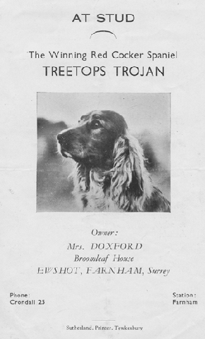 Stud Card for Treetops Trojan